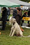 Festiwal Charta 17 XENNO vd Oelmuhle